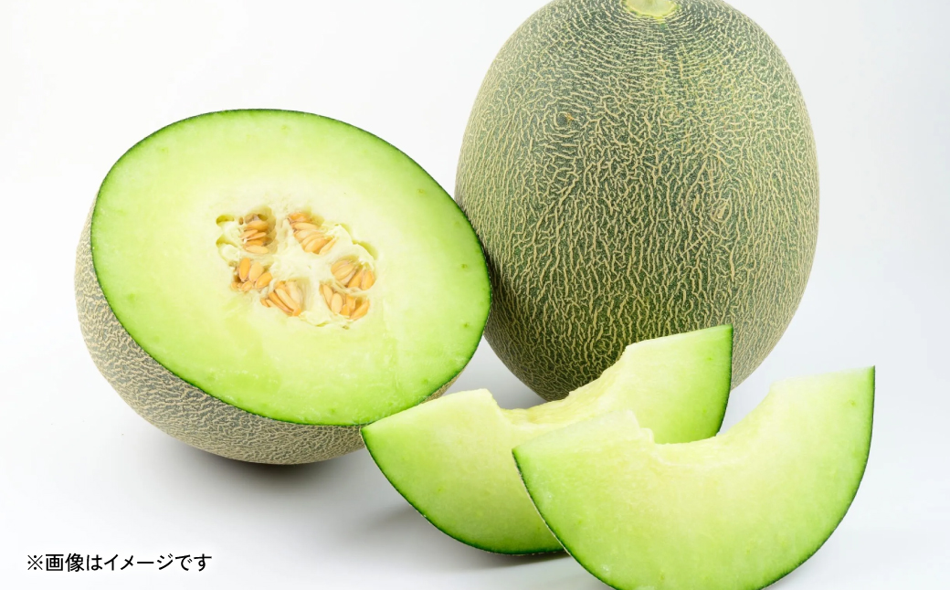 【先行予約】 熊本県八代市産 肥後グリーンメロン 4L以上 1玉 約2kg 果物 くだもの フルーツ 肥後グリーン メロン 青肉メロン 【2026年6月上旬より順次発送】