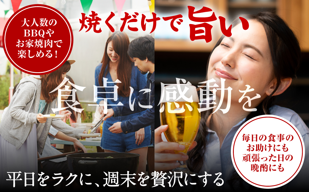 【訳あり】 焼肉セット 5種盛り 計1.7kg 牛肉 タン ハラミ みそ ホルモン プルコギ 豚バラ 豚肉 カルビ 肉 味付き おかず 焼き肉 炒め物 お惣菜 おつまみ バーベキュー