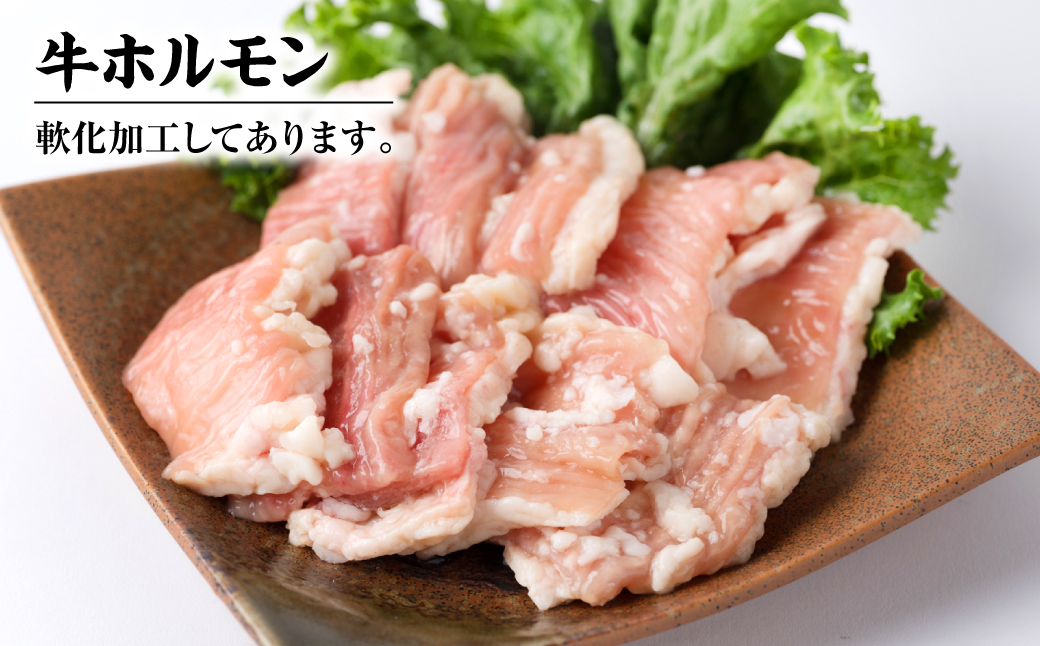 【訳あり】牛ホルモン 食べ比べ セット 4種 計2kg  牛肉 味付き ホルモン モツ 鍋 炒め物 お惣菜 おつまみ 冷凍パック 小分けパック