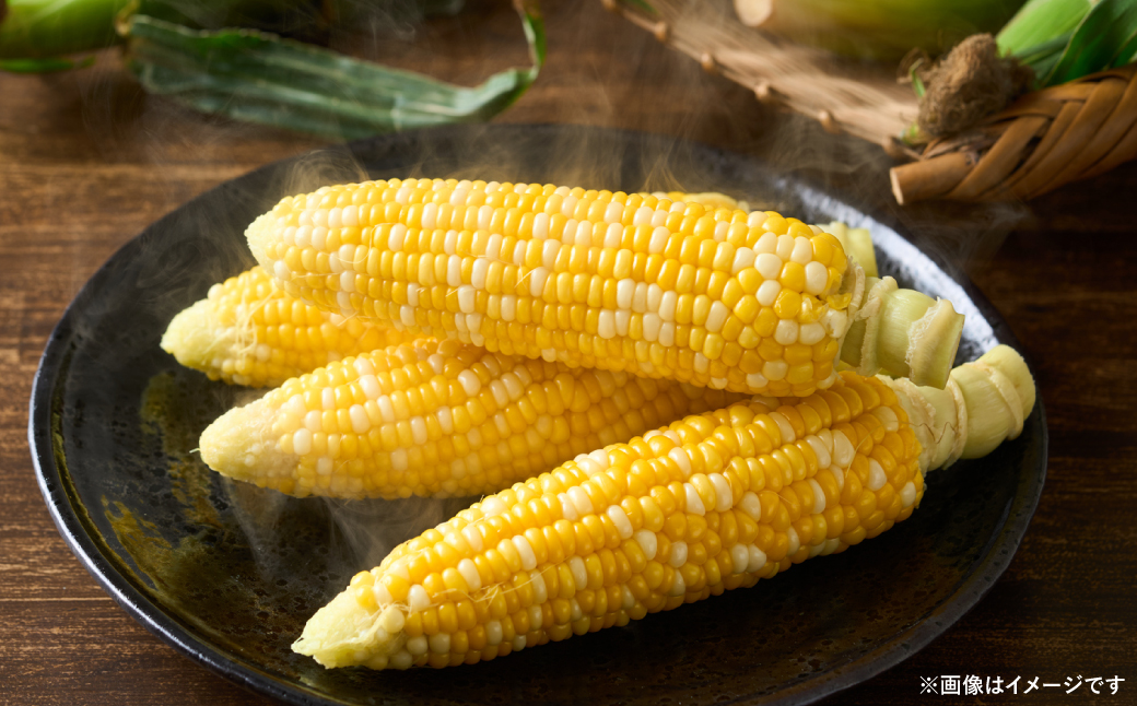 【先行予約】 スイートコーン5kg(11本～13本) ドルチェドリーム とうもろこし コーン 野菜 やさい 新鮮 冷蔵 BBQ おつまみ 【2026年5月中旬より順次発送】
