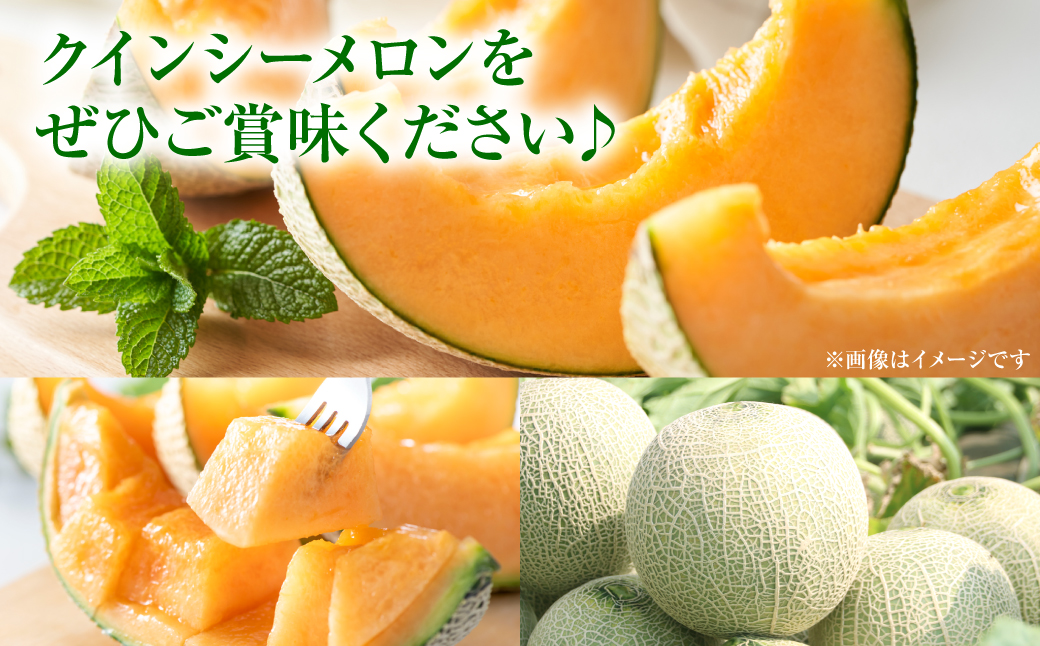 【先行予約】産地直送 クインシーメロン 2Lサイズ 2玉 約3kg クインシー メロン めろん 赤肉メロン 赤肉 果物 くだもの フルーツ デザート 贈り物 国産 熊本県 八代市【2026年5月中旬より順次発送】