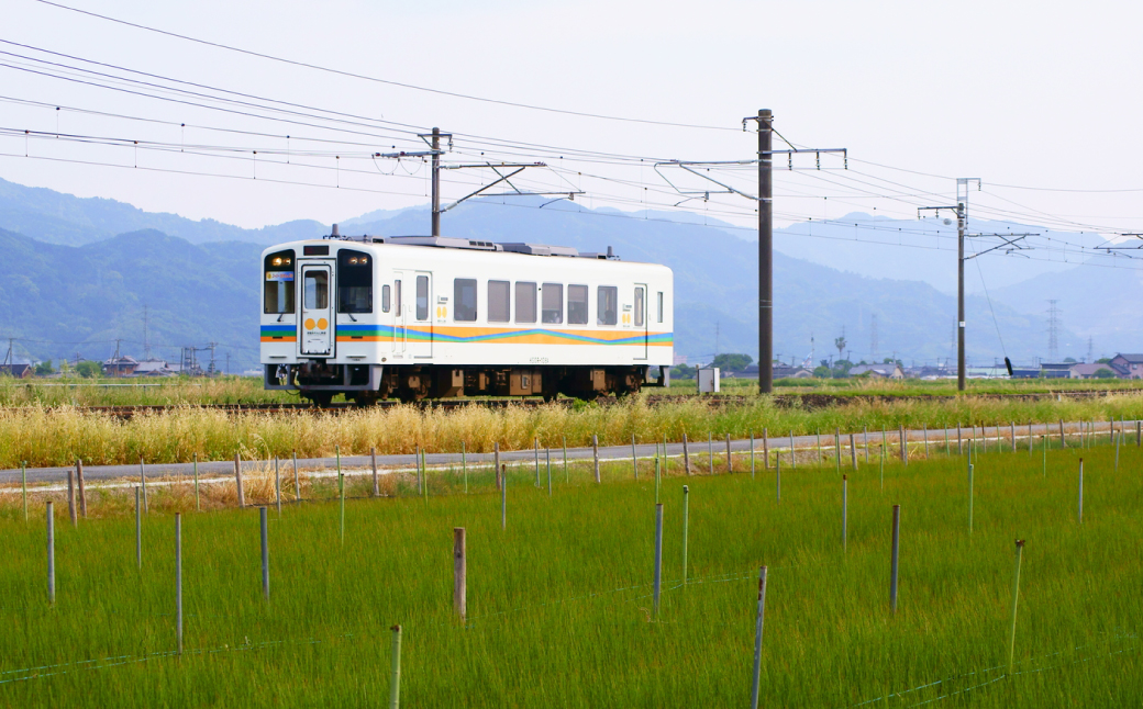 ＜肥薩おれんじ鉄道沿線自治体共通返礼品＞ 肥薩おれんじ鉄道開業20周年記念カットレール ◆限定10セット◆ 電車 記念品 コレクション