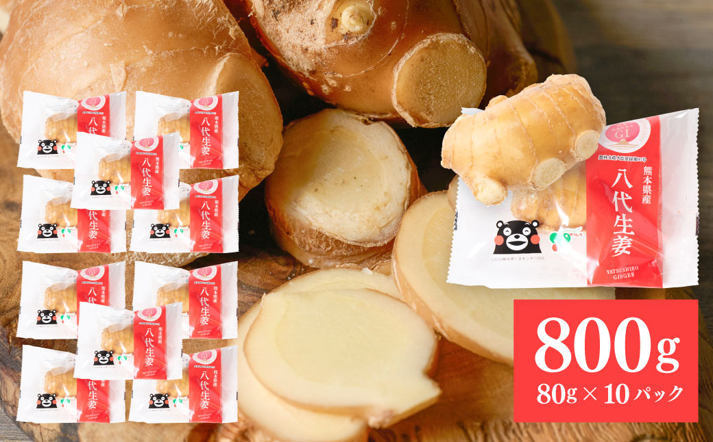 八代生姜80g×10パック 合計800g しょうが ショウガ ガリ ジンジャー 野菜 食品 薬味 生姜焼き しょうが焼き 温活 冷え性 対策 熊本県 八代市 東陽町 産地直送 国産