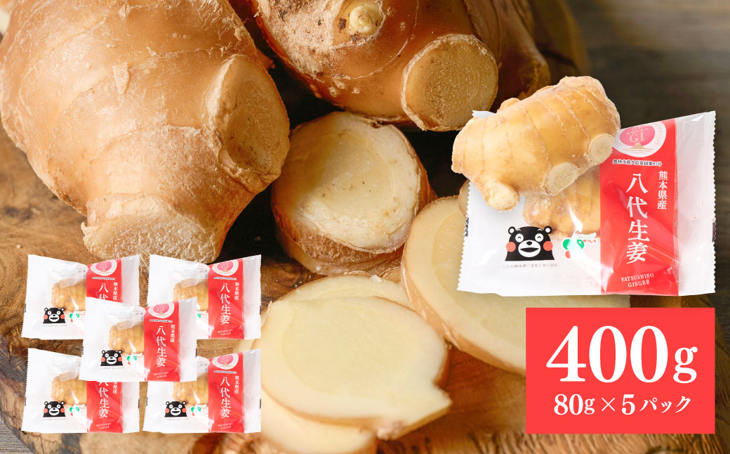八代生姜80g×5パック 合計400g しょうが ショウガ ガリ ジンジャー 野菜 食品 薬味 生姜焼き しょうが焼き 温活 冷え性 対策 熊本県 八代市 東陽町 産地直送 国産