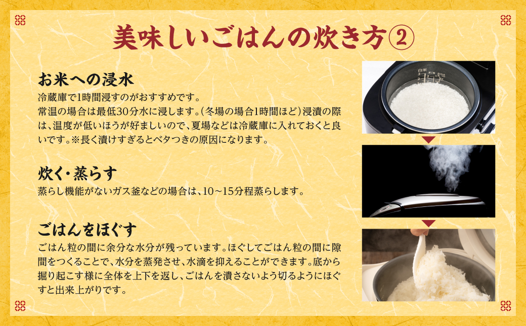 【令和7年産】 熊本県産 きぬひかり 5kg（5kg×1袋） 米 お米 精米 白米 ごはん ご飯 熊本