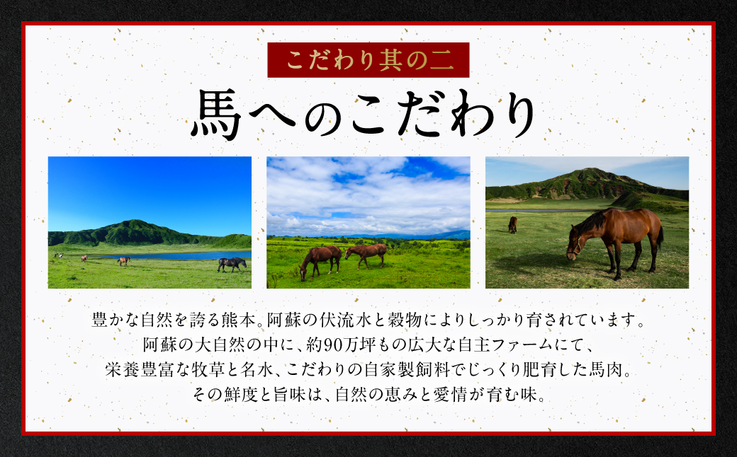 ★旅サラダで紹介されました★ 国産馬刺しブロック560g　馬刺し専用タレ付き 馬肉 冷凍 個装 パック 菅乃屋 馬刺し 生食 刺身 郷土料理