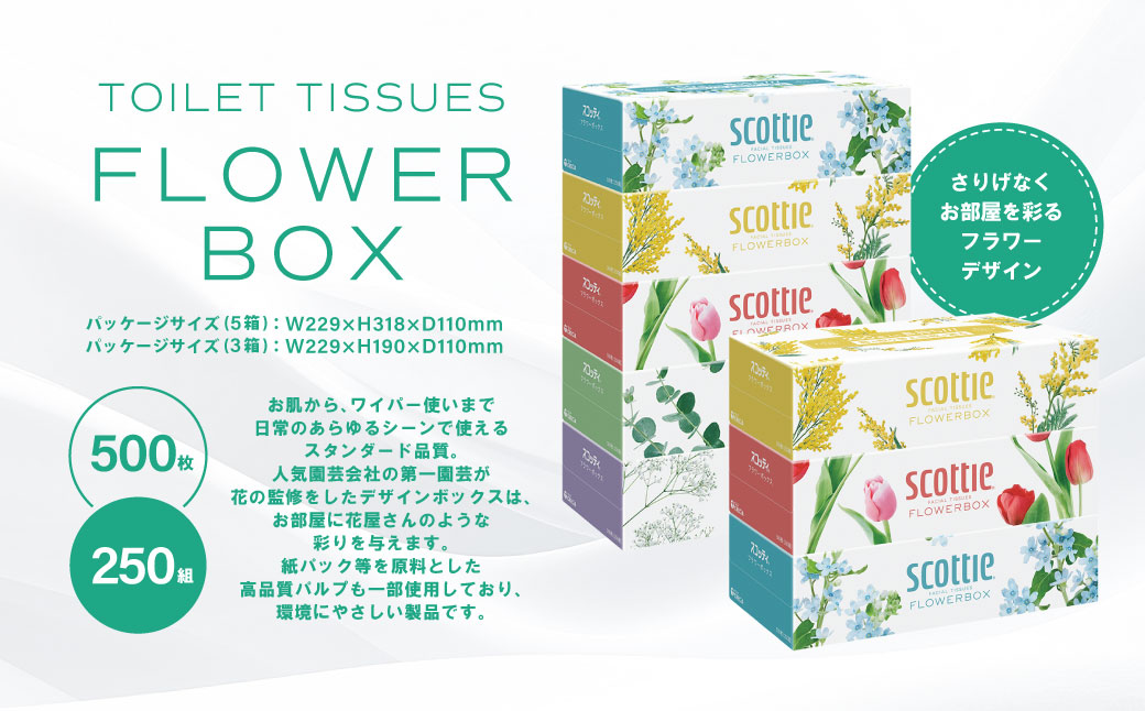 【スコッティ】ティシュー フラワーボックス 250組（5箱パック×1セット・3箱パック×1セット）＋フラワーパック 3倍長持ち（4ロール(シングル)パック×2セット）ティッシュ トイレットペーパー 日用品