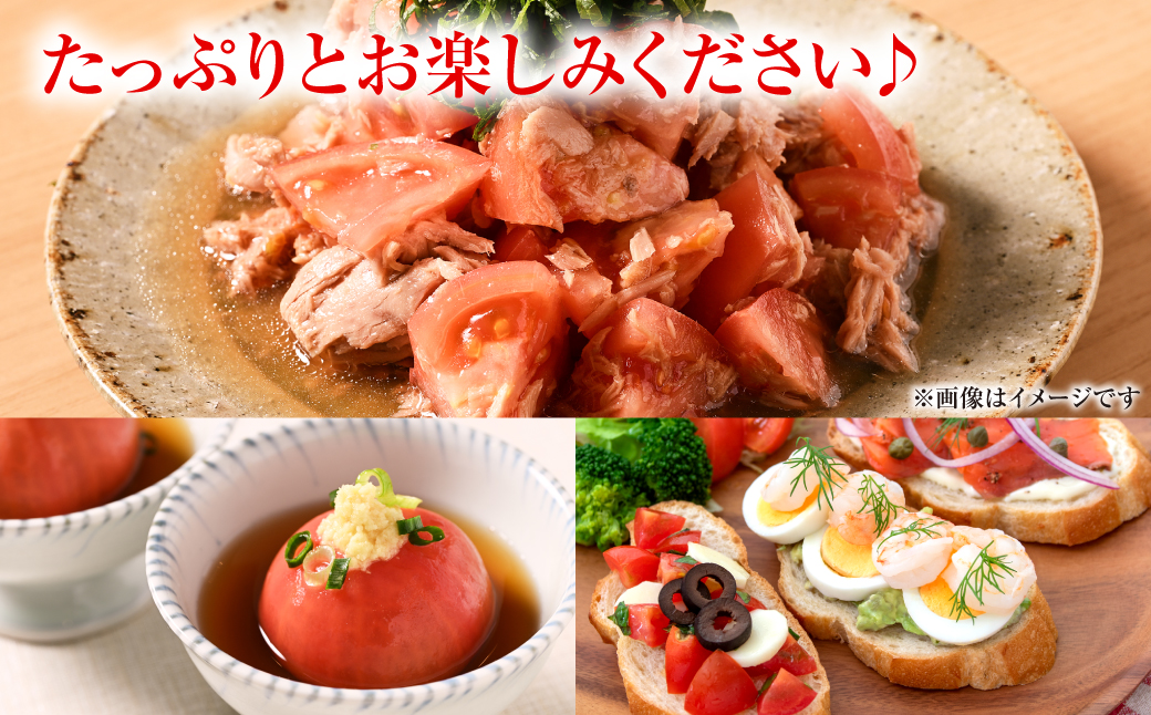 産地直送 俺たちの頂上トマト 3.5kg トマト とまと 野菜 やさい 旬 旬の野菜 新鮮な野菜 地元産野菜 熊本県 八代市