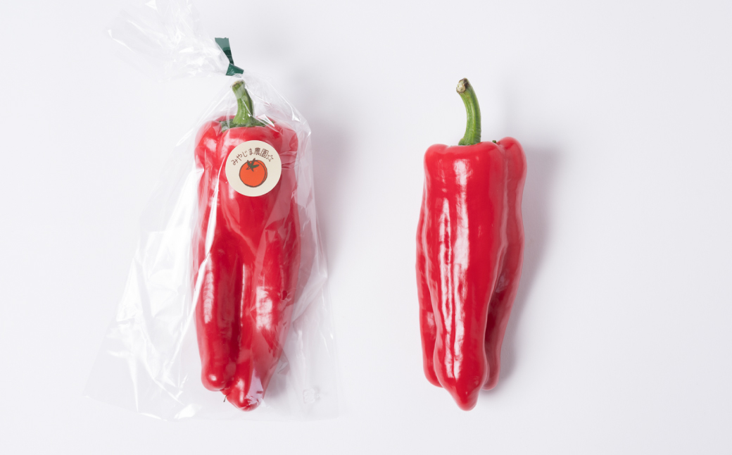 【先行予約】 パプリカ ガブリエル 1kg 八代市産 宮島農園 野菜 新鮮野菜 緑黄色野菜 国産 熊本県産 【2026年3月上旬より順次発送】