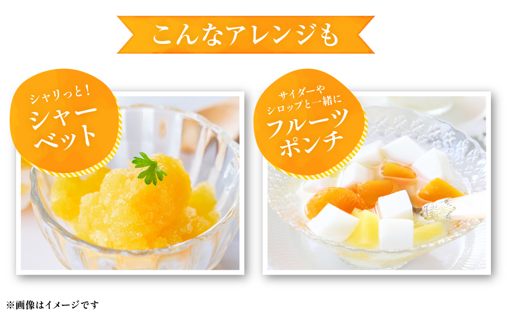 八代市 東陽産 EC12みかん 2kg以上入り(8玉～20玉)  柑橘 ミカン くだもの 果物 フルーツ デザート