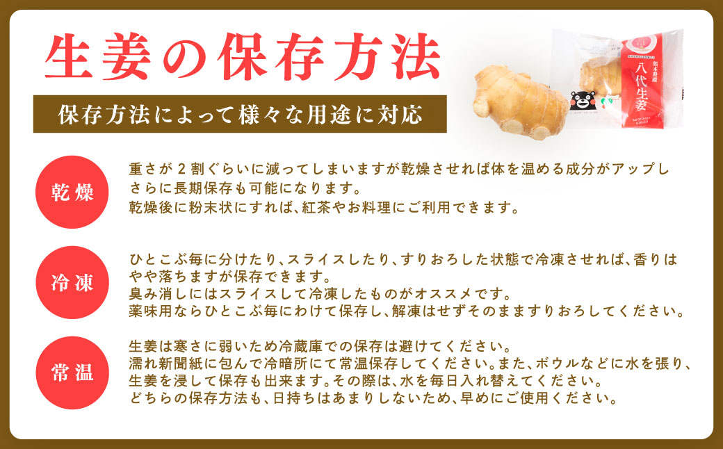 八代生姜80g×10パック 合計800g しょうが ショウガ ガリ ジンジャー 野菜 食品 薬味 生姜焼き しょうが焼き 温活 冷え性 対策 熊本県 八代市 東陽町 産地直送 国産