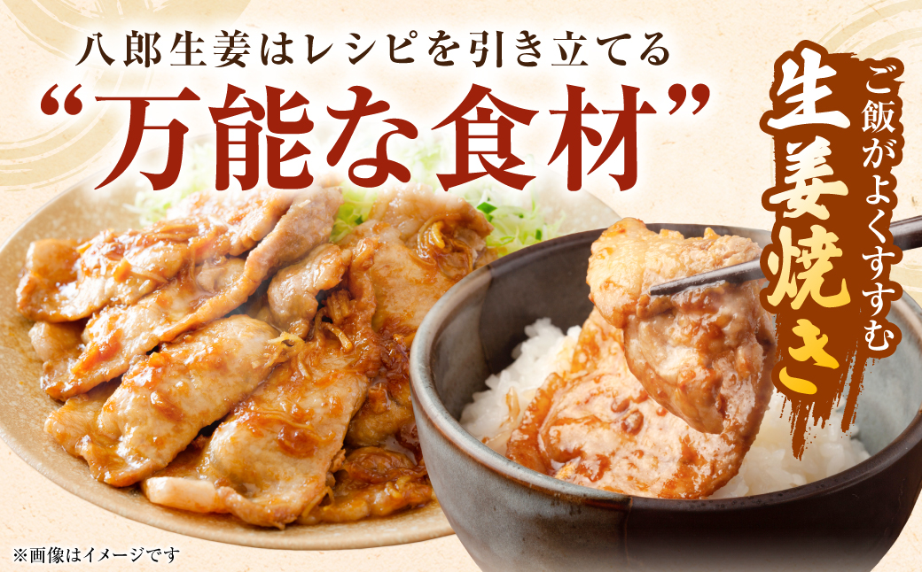 八郎生姜 2kg しょうが ショウガ ガリ ジンジャー 野菜 食品 薬味 生姜焼き しょうが焼き 温活 冷え性 対策 熊本県 八代市 東陽町 産地直送 国産