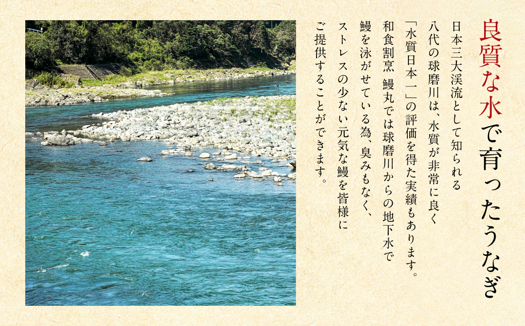 鰻丸(うなまる) 九州産 うなぎ蒲焼き2尾 ＆ 刻み蒲焼き1パックセット 鰻 ウナギ うなぎの蒲焼 丑の日 秘伝タレ 無頭 うな丼 うな重 ひつまぶし