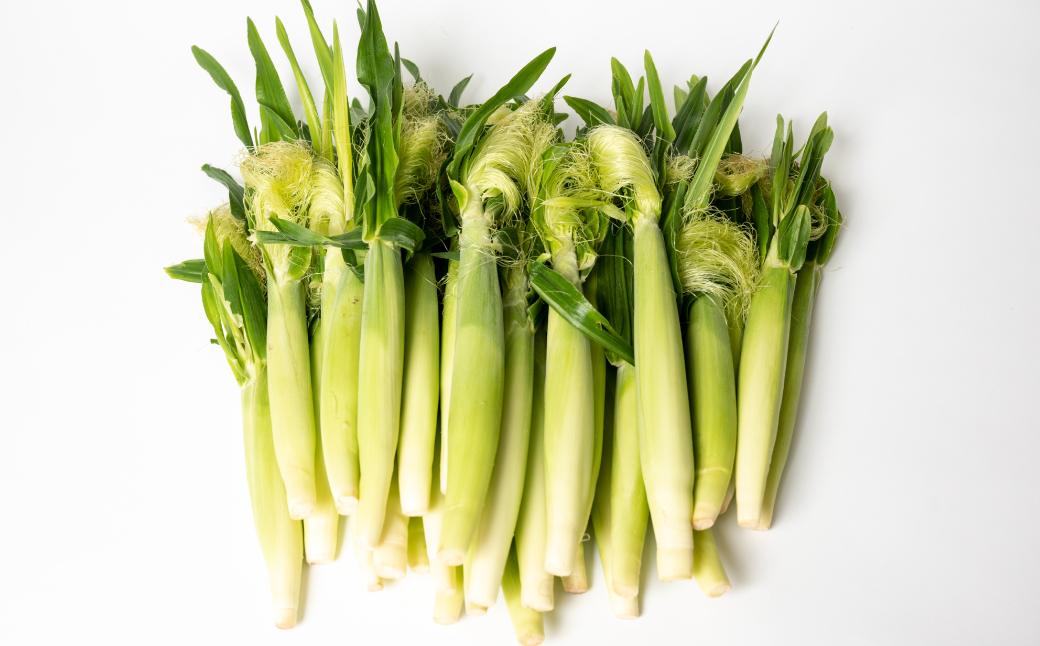 【先行予約】 ヤングコーン 30本 とうもろこし 朝採れ 朝採り 新鮮 ハウス栽培 皮付き 八宝菜 シチュー 蒸し焼き 野菜 旬 国産 熊本県 八代市 【2026年4月下旬より順次発送】