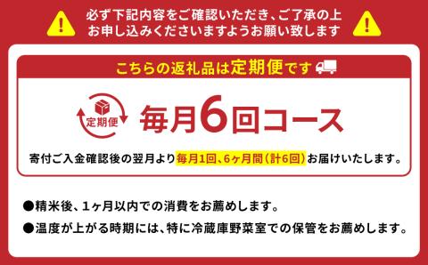 【定期便6回】 《令和7年産》 鶴喰米 精米5kg くまさんの輝き 米 精米 白米 熊本県産 国産