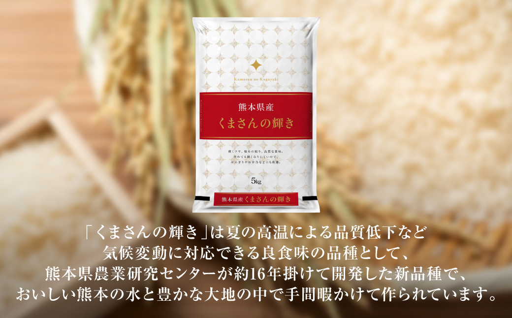 【令和7年産】 熊本県産 くまさんの輝き 10kg (5kg×2袋) 米 お米 精米 白米 ごはん ご飯 熊本