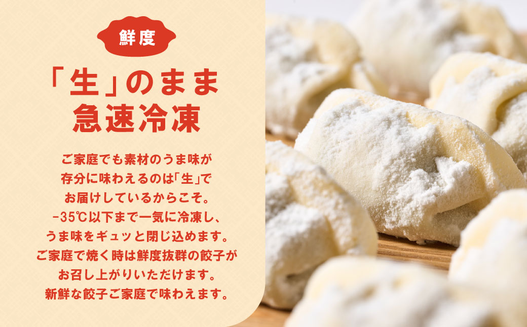 【順次発送】 八代市東陽町の生姜を使った 餃子の王国 人気生餃子126個 ぎょうざ ギョウザ