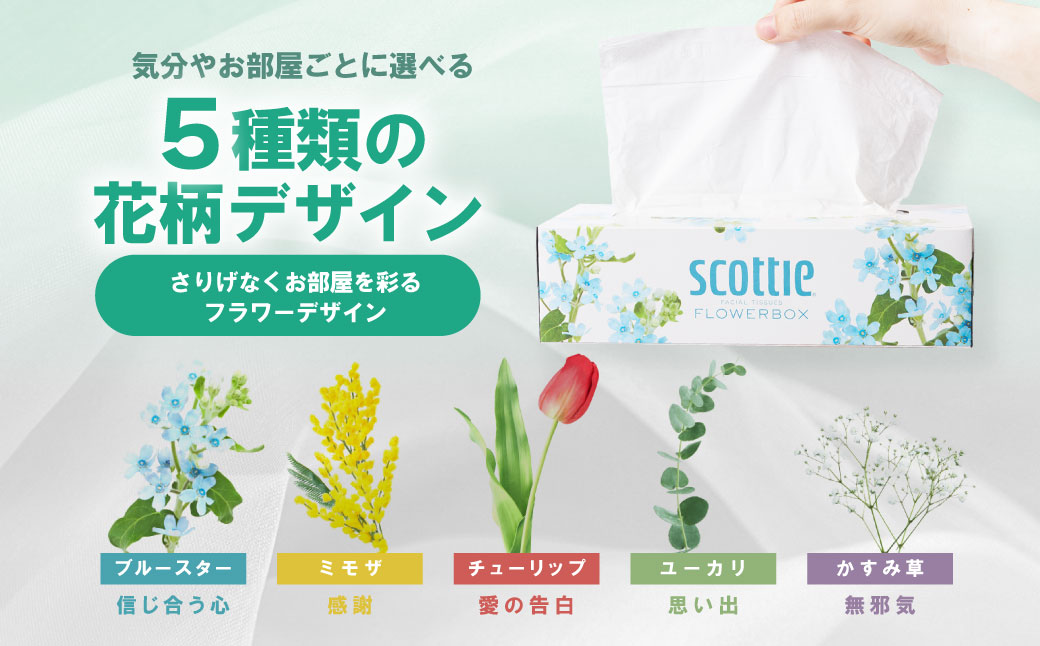 【定期便6回】【毎月お届け】【スコッティ】 ティシュー フラワーボックス 250組 10箱 計60箱 ティッシュ 日用品 生活必需品 消耗品 紙 まとめ買い 備蓄 防災備蓄 ストック デザインボックス 新生活 防災 生活用品 日用消耗品 箱ティッシュ