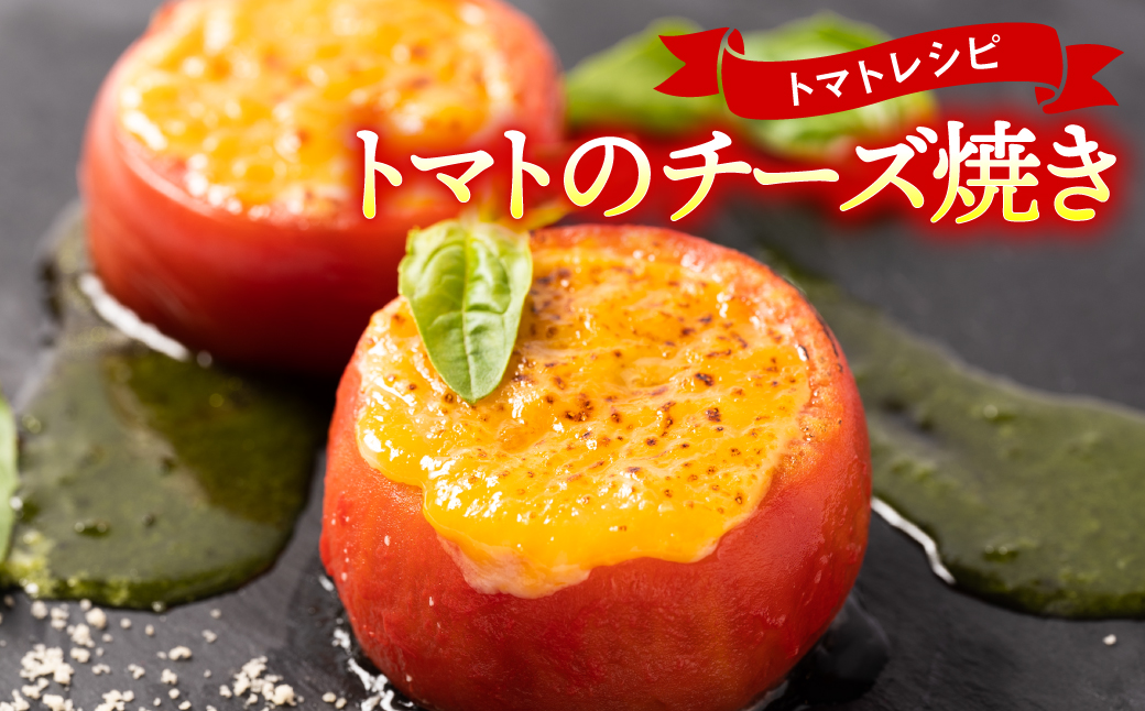 【先行予約】【訳あり】 八代市産 規格外トマト 約1.5kg 熊本県 八代市 特産品 規格外 トマト 野菜 やさい 新鮮 とまと 【2026年4月中旬より順次発送】