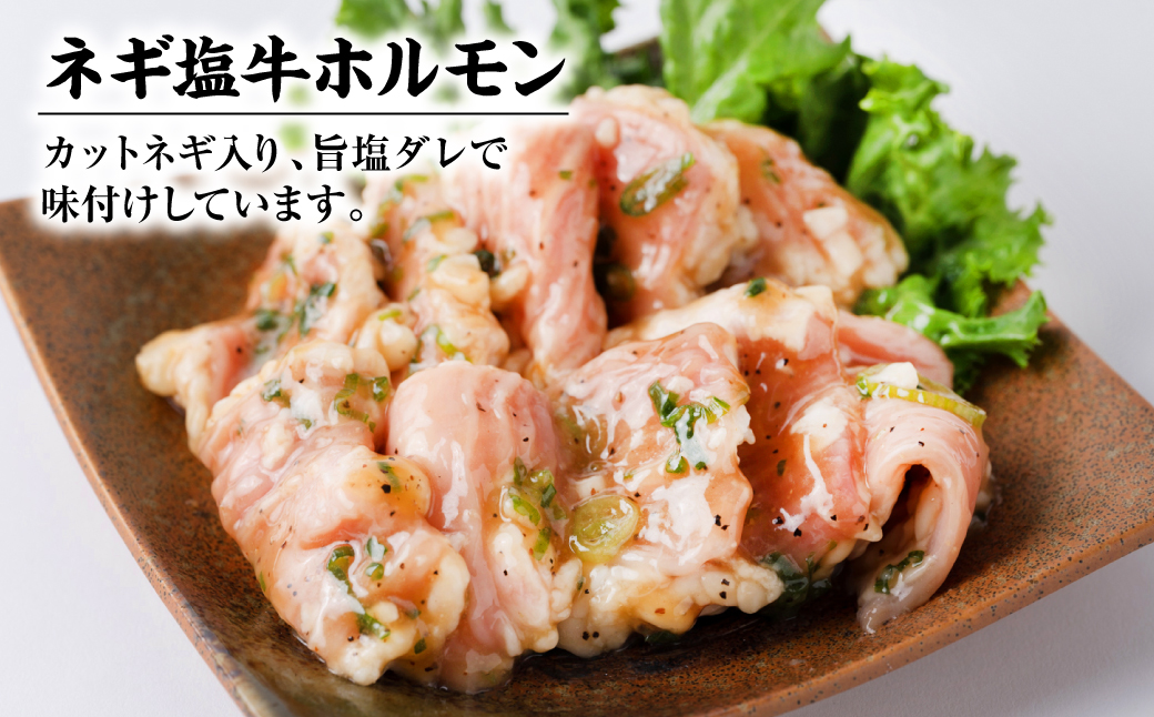 【訳あり】牛ホルモン 食べ比べ セット 4種 計2kg  牛肉 味付き ホルモン モツ 鍋 炒め物 お惣菜 おつまみ 冷凍パック 小分けパック