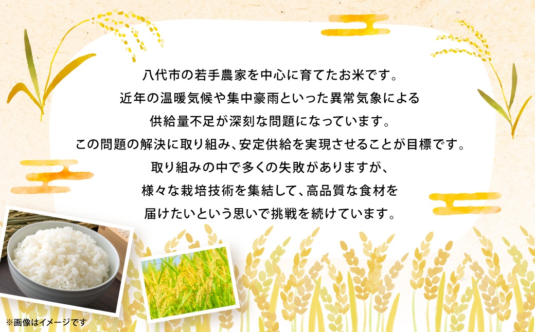 【先行予約】 《令和7年産》 熊本県八代市産 山海太陽 自然の恵みをたっぷり浴びたモスのお米 5kg ヒノヒカリ 米 お米 精米 白米 ごはん ご飯 熊本 【2026年2月上旬より順次発送】