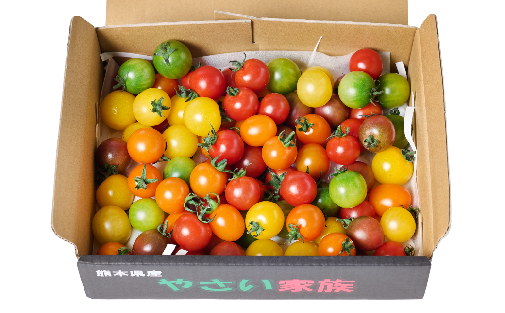 カラーミニトマト1kg トマト とまと ミニトマト プチトマト 野菜 やさい 旬の野菜 新鮮な野菜 地元産野菜 旬のやさい 新鮮なやさい ご当地 国産 特産品 お取り寄せ ギフト プレゼント 家庭用 食卓