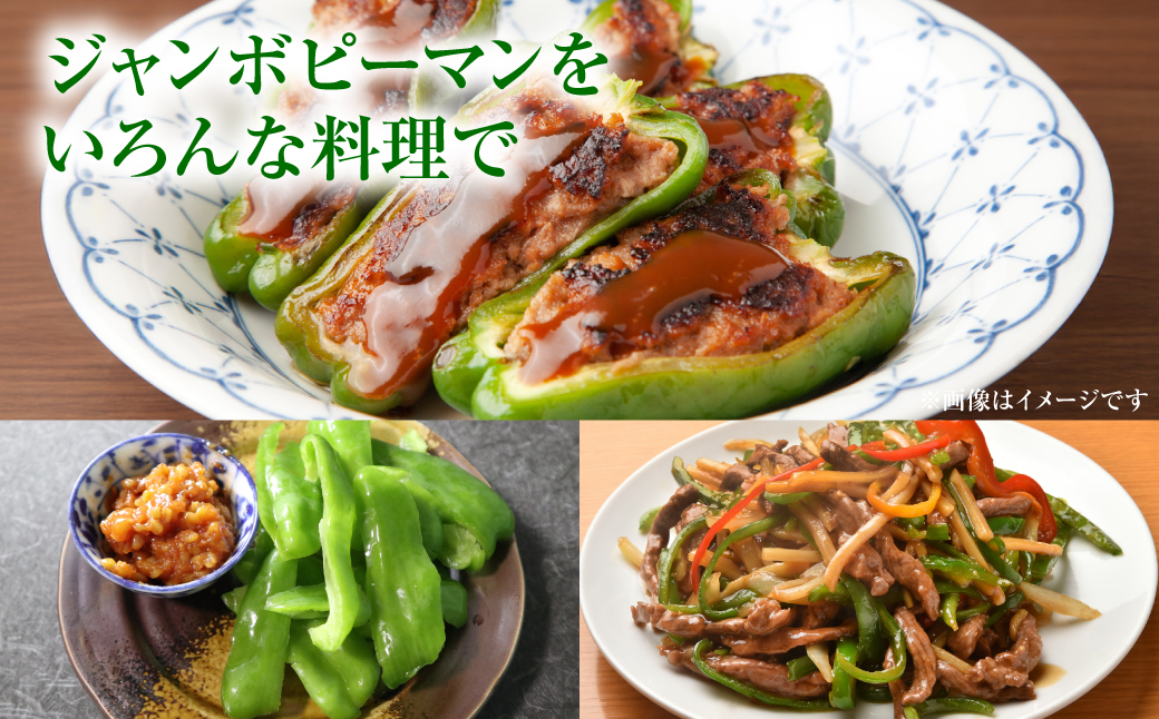 【先行予約】産地直送 とんがりジャンボピーマン 2kg 野菜 やさい 野菜炒め サラダ 夏野菜 新鮮 旬 無限ピーマン おつまみ BBQ バーベキュー 肉詰め 熊本県 八代市【2026年3月中旬より順次発送】