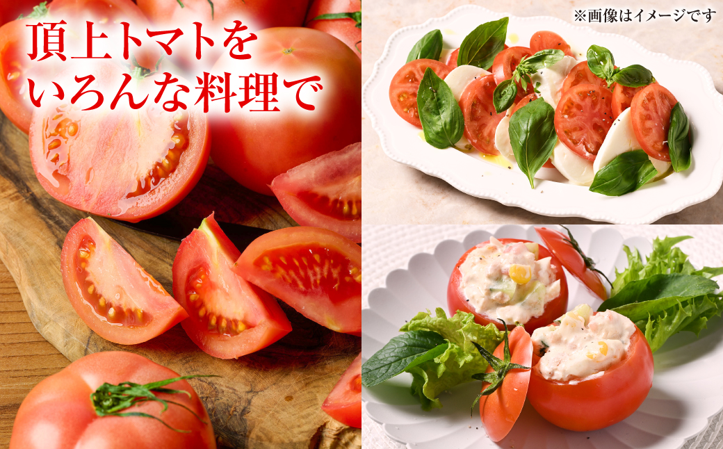 産地直送 俺たちの頂上トマト 3.5kg トマト とまと 野菜 やさい 旬 旬の野菜 新鮮な野菜 地元産野菜 熊本県 八代市