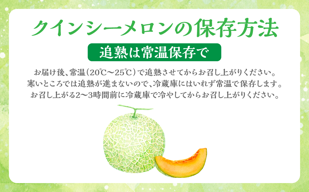 【先行予約】 産地直送 クインシーメロン 1玉 約1.5kg クインシー メロン めろん 赤肉メロン 赤肉 果物 くだもの フルーツ デザート 贈り物 国産 熊本県 八代市 【2026年5月下旬より順次発送】