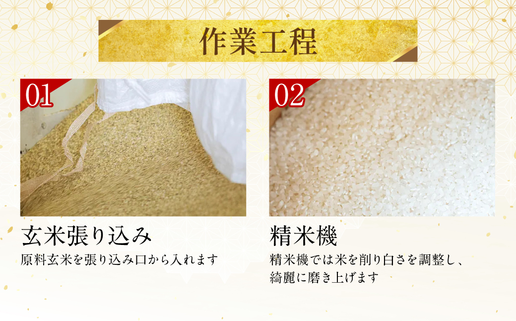《令和7年産》 ヒノヒカリ 5kg×2袋 合計10kg 熊本県 八代市産 米 お米 精米 白米 国産