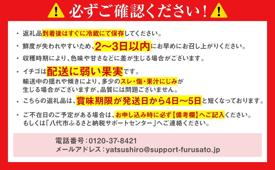 【先行予約】ひのしずく -あまいのん 新鮮 フルーツ 果物 くだもの 苺 いちご イチゴ ストロベリー 旬 熊本 八代 国産 【2026年1月下旬より順次発送】