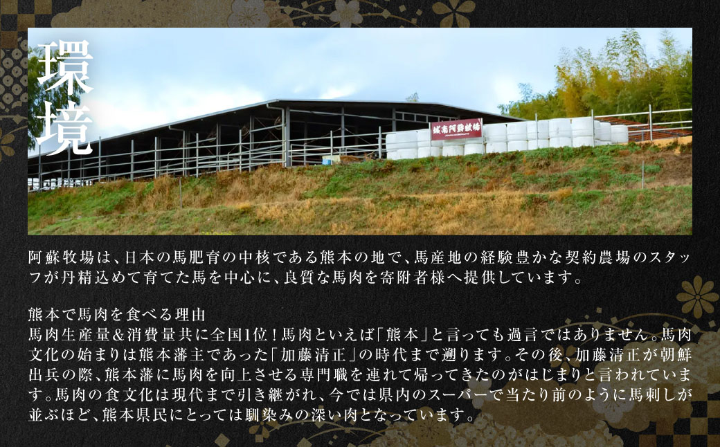 大トロ・中トロ馬刺しのセット 600g (各300g) 馬さし お肉 馬肉 刺身 刺し身 馬刺し 馬刺しブロック 霜降り おかず おつまみ 熊本県 八代市
