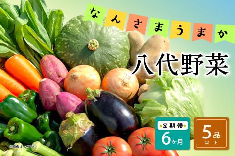 【定期便6回】なんさまうまか八代野菜セット 5品以上 やさい 詰め合わせ 熊本県産 旬の野菜 新鮮 朝採れ 八代よかとこ物産館 季節のお野菜 おまかせ野菜 新鮮野菜