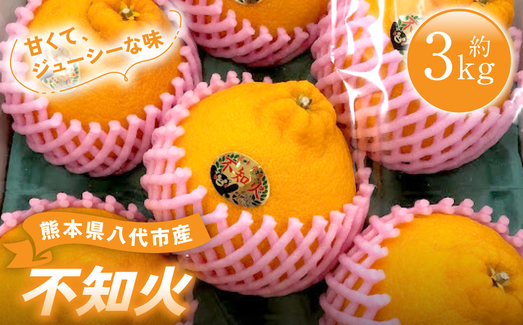 【先行予約】 熊本県 八代市産 不知火 （しらぬい） 約3kg 蜜柑 ミカン みかん ポンカン 【2026年1月中旬より順次発送】 ジューシー ビタミンＣ 糖度が高い 酸味が少ない おやつ 朝食