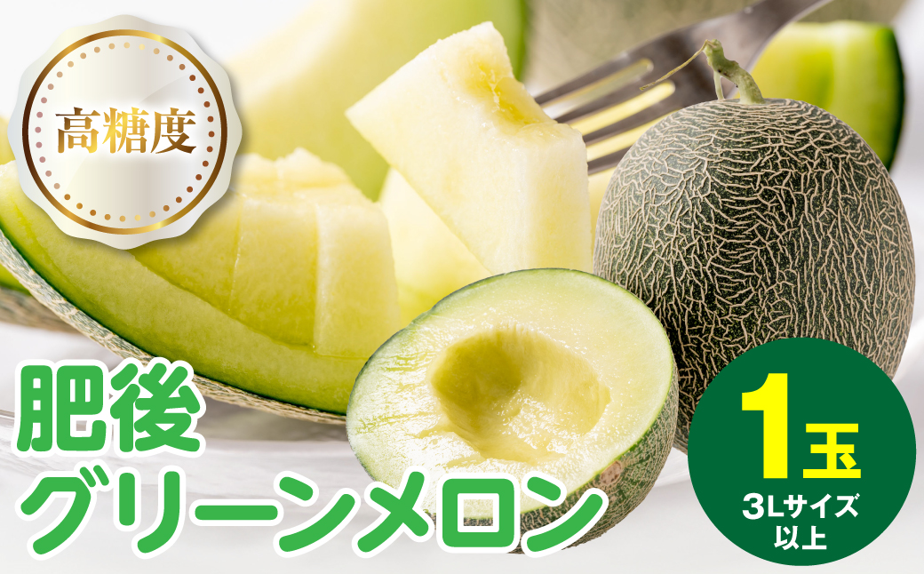 【先行予約】高糖度 2026年 八代産 肥後グリーンメロン 3Lサイズ以上 1玉 化粧箱入 お中元 夏 ギフト メロン めろん フルーツ 期間限定 【2026年5月中旬より順次発送】
