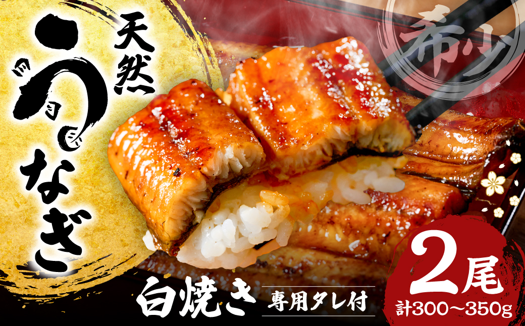 熊本県八代市産 天然うなぎ白焼き(中) 2本 (計300～350g) 蒲焼のたれ付き 鰻 国産 蒲焼 ウナギ うなぎ 冷凍