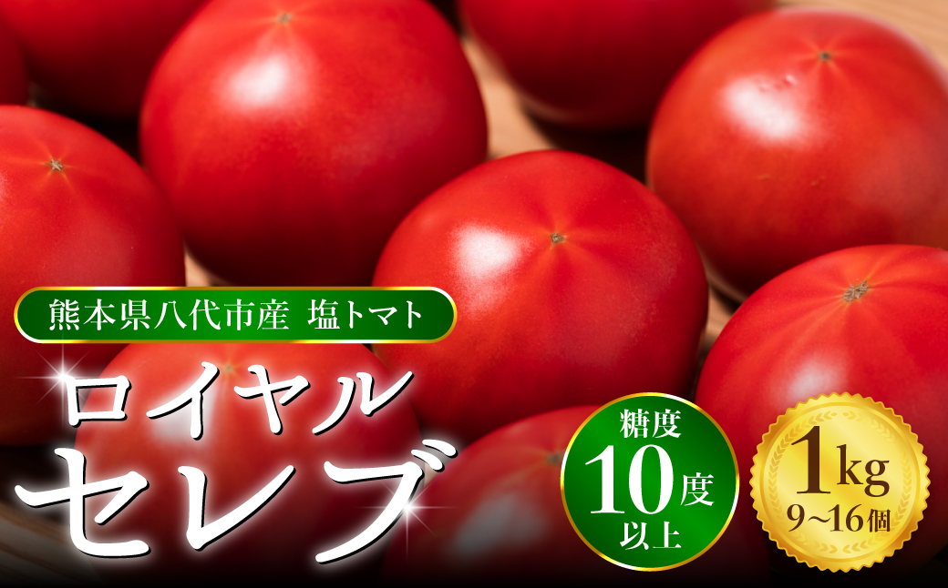 【先行予約】 くまもと塩トマト「ロイヤルセレブ」 約1kg  トマト 野菜 熊本県産 新鮮 サラダ やさい とまと 八代市産 九州 【2026年1月上旬より順次発送】