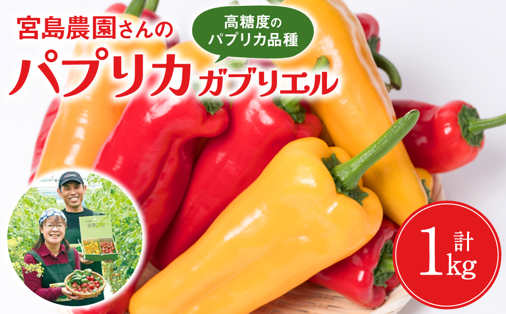 【先行予約】 パプリカ ガブリエル 1kg 八代市産 宮島農園 野菜 新鮮野菜 緑黄色野菜 国産 熊本県産 【2026年3月上旬より順次発送】