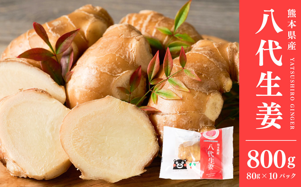 八代生姜80g×10パック 合計800g しょうが ショウガ ガリ ジンジャー 野菜 食品 薬味 生姜焼き しょうが焼き 温活 冷え性 対策 熊本県 八代市 東陽町 産地直送 国産