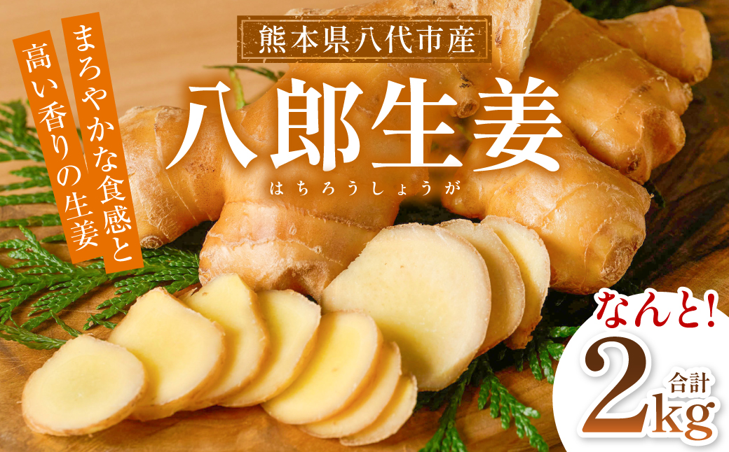 八郎生姜 2kg しょうが ショウガ ガリ ジンジャー 野菜 食品 薬味 生姜焼き しょうが焼き 温活 冷え性 対策 熊本県 八代市 東陽町 産地直送 国産