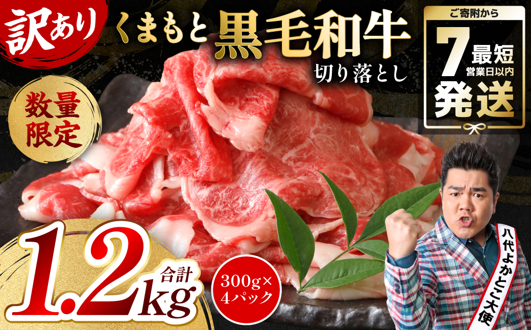 【訳あり】 くまもと黒毛和牛 切り落とし 1.2kg（300g×4）  黒毛和牛 牛肉 和牛 ブランド牛 ブランド和牛 訳あり牛肉 ブランド牛肉 牛肉切り落とし ブランド牛切り落とし 小分け 熊本県産 くまもと 国産 人気 毎月数量限定