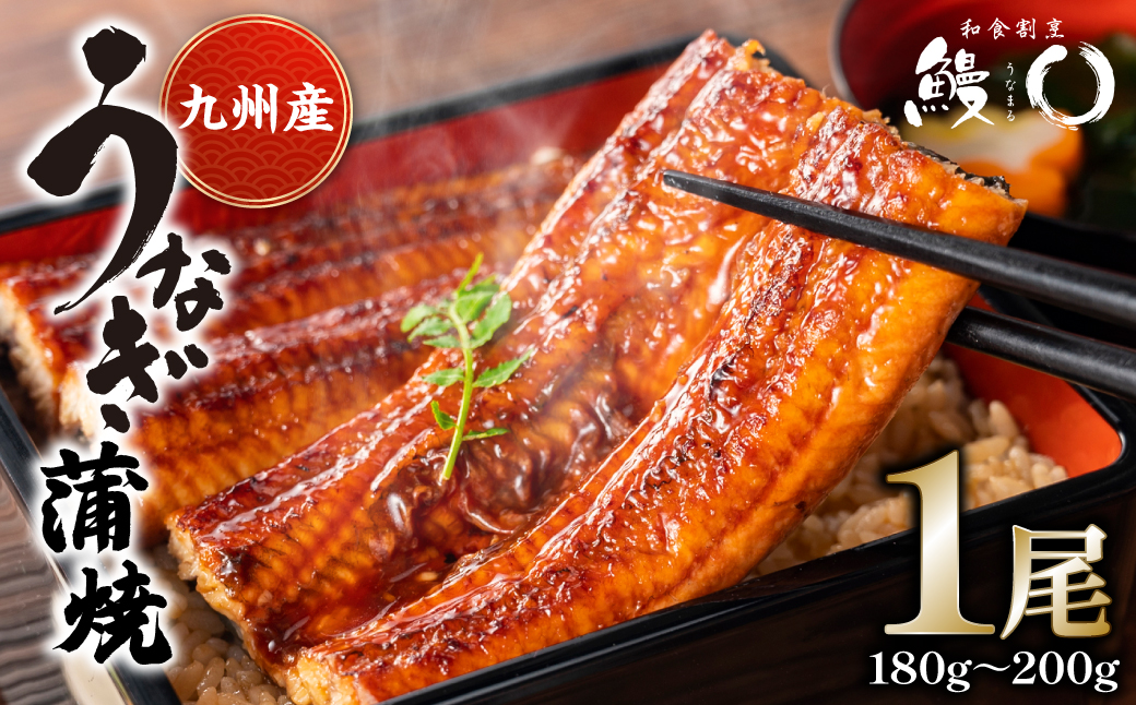 鰻丸(うなまる) 九州産 鰻 蒲焼き 1尾 うなぎ ウナギ 丑の日 秘伝タレ 無頭 うな丼 うな重 ひつまぶし