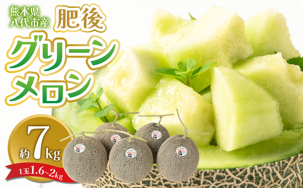 【先行予約】 熊本県八代市産 肥後グリーンメロン 約7kg (1玉1.6kg～2kg) メロン めろん 果物 くだもの フルーツ デザート 旬 青肉 ジューシー 甘い 【2026年6月中旬より順次発送】