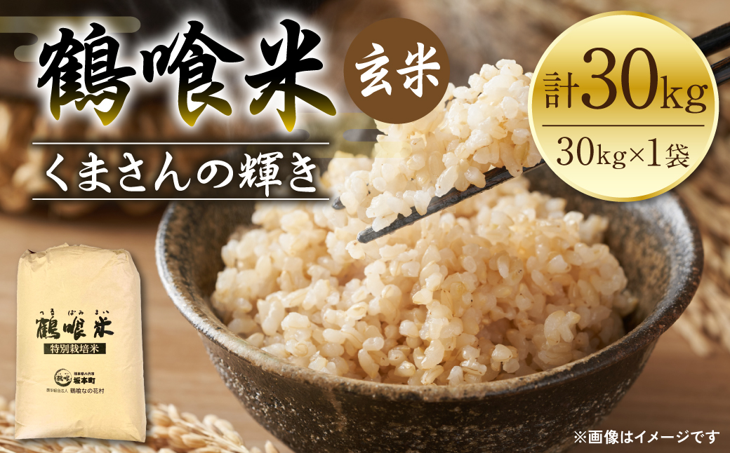  《令和7年産》 鶴喰米 玄米30kg くまさんの輝き 米 精米 白米 熊本県産 国産 