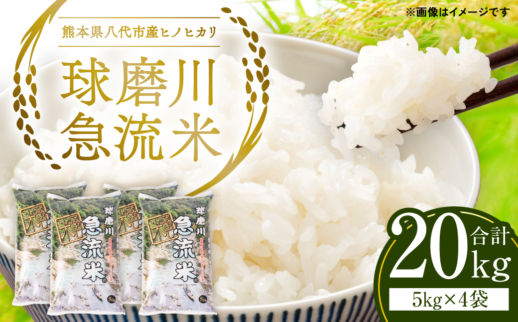 《令和7年産》熊本県八代市産 球磨川急流米 ヒノヒカリ 20kg 国産 白米 精米 お米 コメ 米 ライス ご飯 ごはん 白飯