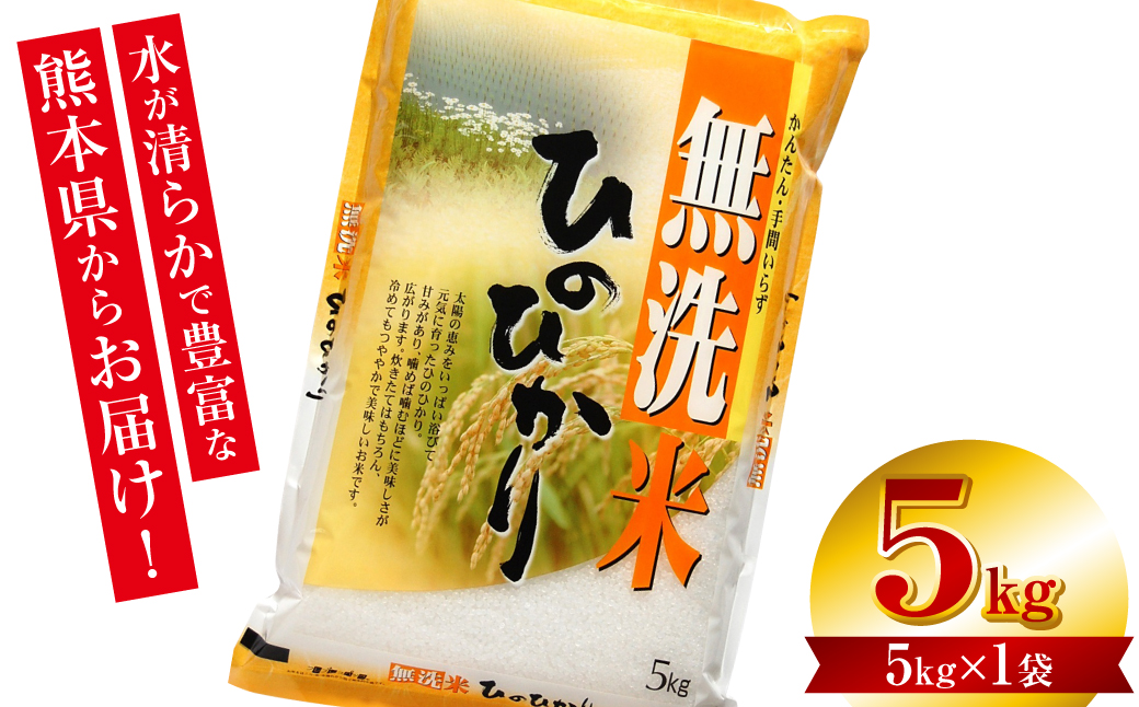 【令和7年産】 熊本県産 無洗米 熊本ひのひかり 5kg (5kg×1袋) 米 お米 精米 白米 ごはん ご飯 熊本