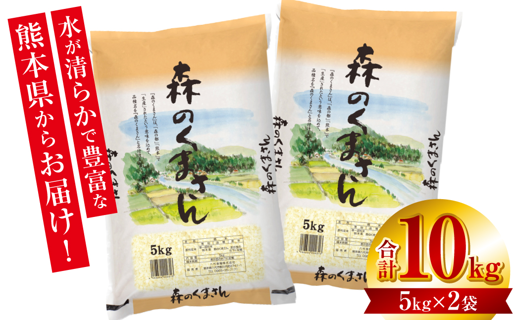 【令和7年産】 熊本県産 森のくまさん 10kg (5kg×2袋) オリジナルパッケージ 米 お米 精米 白米 ごはん ご飯 熊本