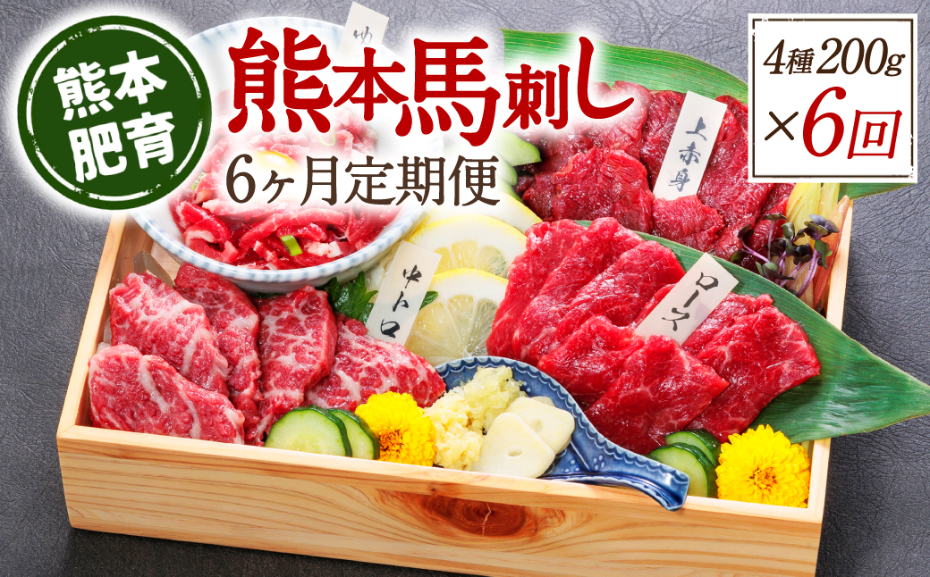 【定期便6回】熊本馬刺し 馬刺し4種 200g×6ヵ月 馬肉 熊本名物 馬刺し 馬 肉 生食 上赤身 中トロ ロース ユッケ 食べ比べ