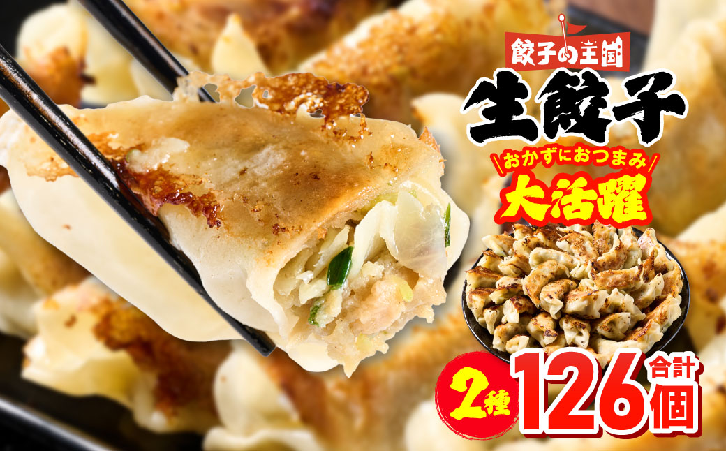 【順次発送】 八代市東陽町の生姜を使った 餃子の王国 人気生餃子126個 ぎょうざ ギョウザ