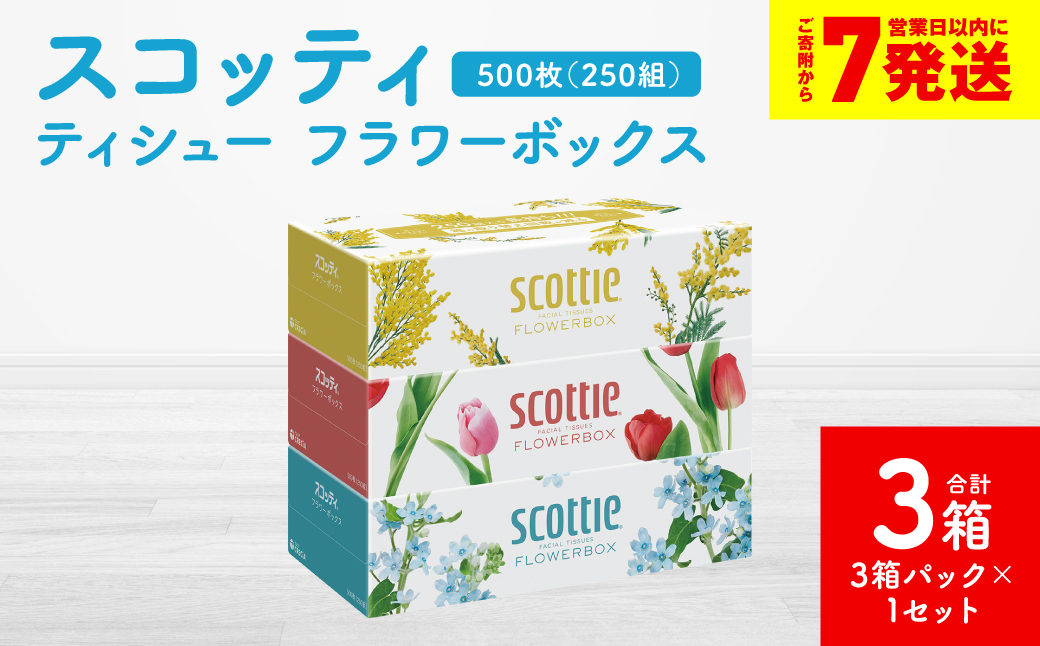 ＼スピード発送／【スコッティ】ティシュー フラワーボックス 250組 3箱パック×1セット 合計3箱 ティッシュ 日用品 生活必需品 スピード発送 【7営業日以内に発送】